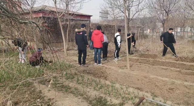 一米菜園，成就我們的田園夢(mèng)
